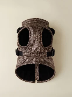 CAPPOTTINO